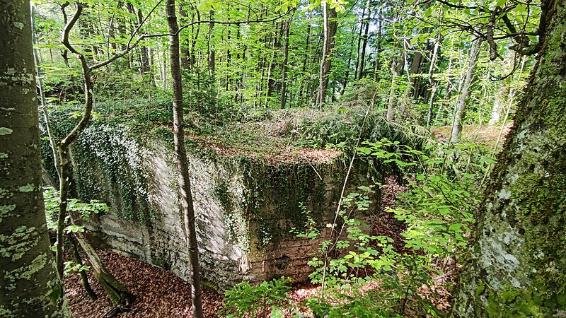 File:Volcja njiva, ivy covered Rupnik line bunker 02.jpg