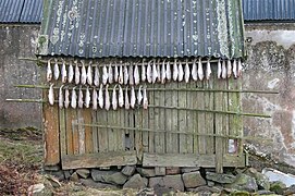 Faroese dryfish