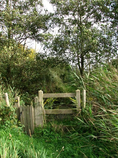 File:Gate on footpath - geograph.org.uk - 599436.jpg