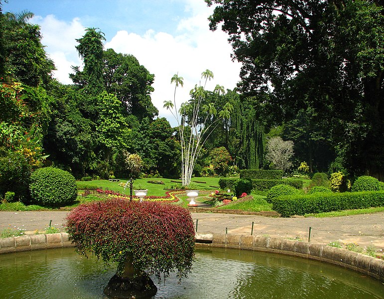 File:Kandy Botanical Garden, Sri Lanka.jpg