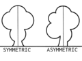 Axis, symmetric sides compared to Asymmetry