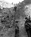 U.S. Army Rangers show off the ladders they used to storm the cliffs at Pointe du Hoc, which they assaulted in support of "Omaha" Beach landings on "D-Day", 6 June 1944