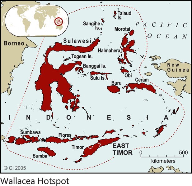 File:Wallacea Hotspot 2005 Print.tif