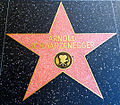 Star on Hollywood Walk of Fame