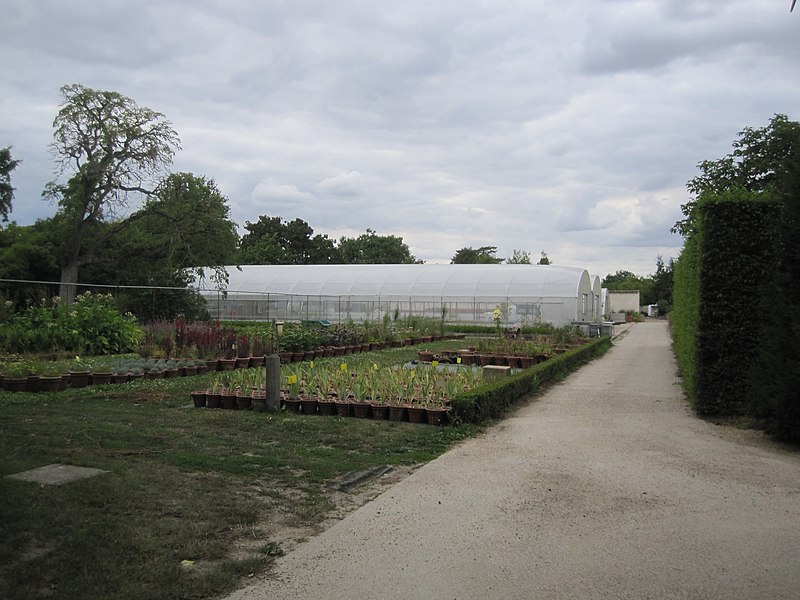 File:Greenhouse at the Château de Versailles.jpg