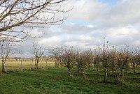 Vue du verger conservatoire de la réserve naturelle régionale du Héron à Villeneuve-d'Ascq