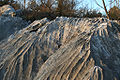 Žlebiči, scannellature (channels), a typical karst surface form