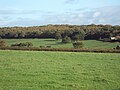 Fields around Storeton