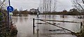 Hochwasser im Dezember 2023 bei Nienburg (high water)