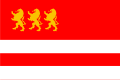 ქართული: მარნეულის დროშა English: Flag of Marneuli
