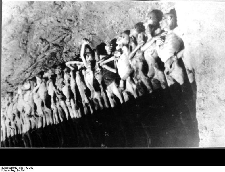 File:Bundesarchiv Bild 192-252, KZ Mauthausen, offenes Massengrab.jpg