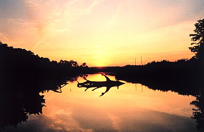 Sunset over a marsh at Cardinal Cove on the Patuxent River.