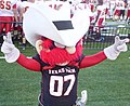 Texas Tech's Raider Red mascot