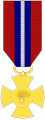 Gold medal (front)