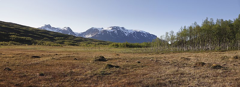 File:Nakkedalen swamp landscape towards north, 2012 June.JPG