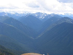 Hurricane Ridge view