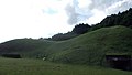 Chubusan Kofun, Yamaga チブサン古墳、山鹿市