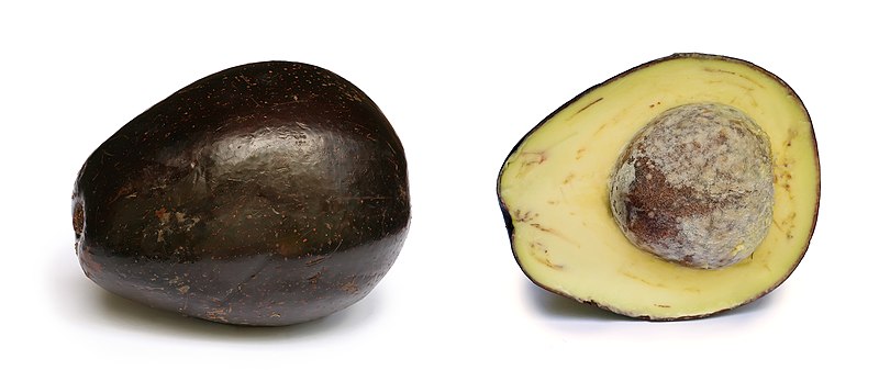 File:Avocado with cross section edit.jpg