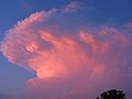 Cumulonimbus capillatus incus at sunset