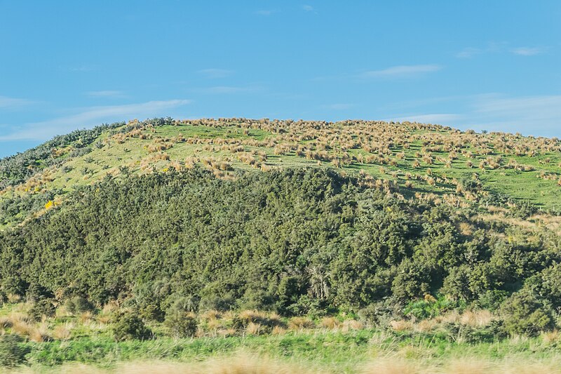 File:Landscape in Southland Region 06.jpg