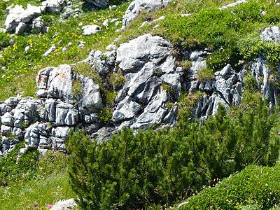 rocks and nature, Nebelhorn-Höfartsweg,