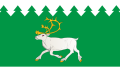 Flag of Izhemsky rayon, Russia