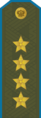 Генерал армии General Armii (General of the Army OF9)