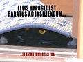 Lolcat in Latin. "Basement Cat is ready to pounce... on your immortal soul!"