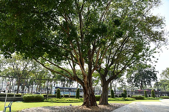 Coin Museum Thailand