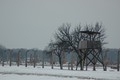 Watch tower at Birkenau concentration camp