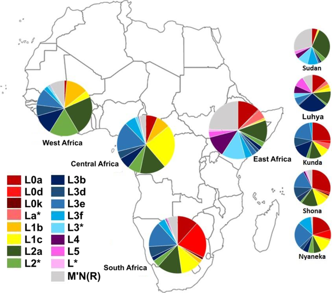 File:MrDNA Haplogroup composition of sub-Saharan African regions.png