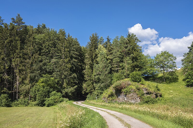 File:Im Lochautal westlich vom Plankenstein 2.jpg