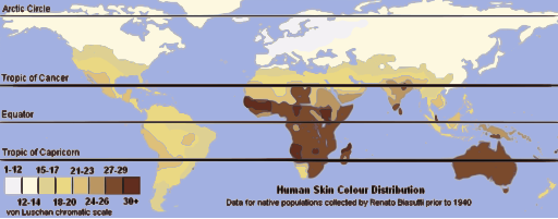 File:Unlabeled Renatto Luschan Skin color map.svg