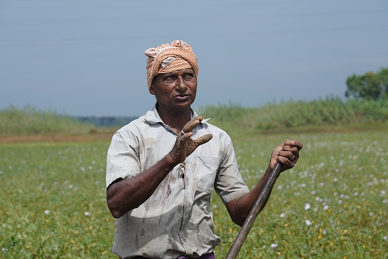 File:A farmer in Kerala 05.jpg