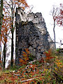 Schloss Laer Turmruine