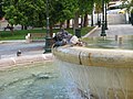 Doves are bathing in fountain.