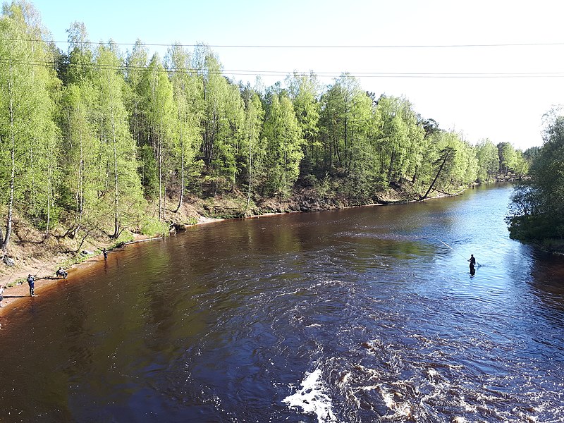 File:3681. Chernaya River.jpg