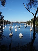 Mosman Bay