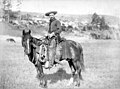 Cowboy (1887)