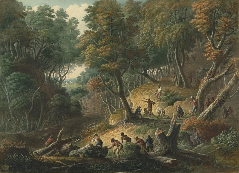 File:Maroons preparing to ambush a convoy.jpg