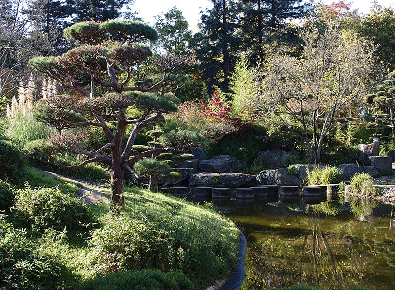 File:Jardin Japonais de l'île de Versailles à Nantes 02.jpg