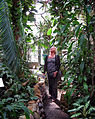 Interior of a greenhouse in The Botanic Garden, Lund (Sweden), in 2007