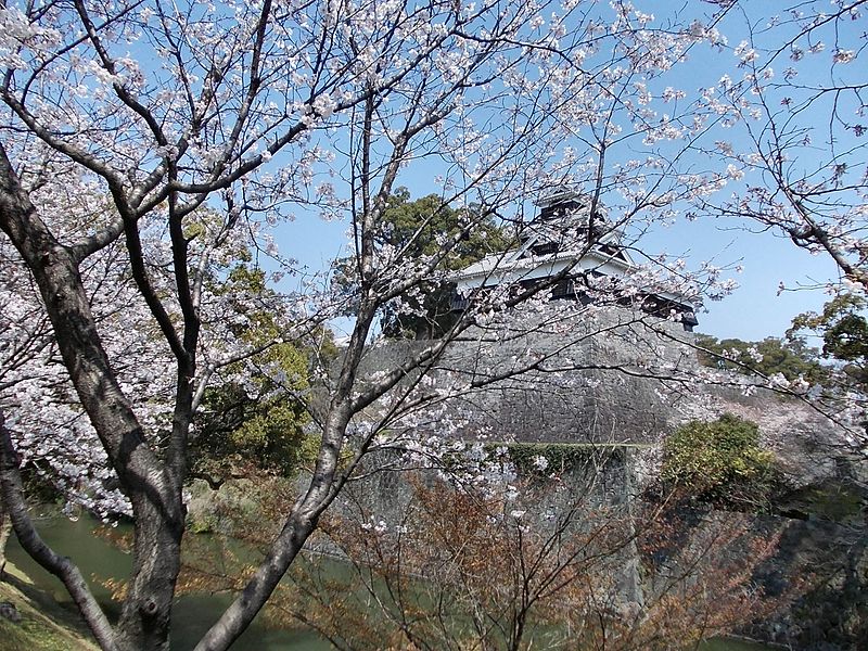 File:Kumamoto Castle 31 March 2011 04.jpg