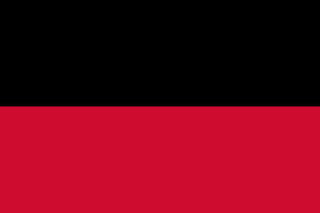 File:Flag of Nijmegen.svg