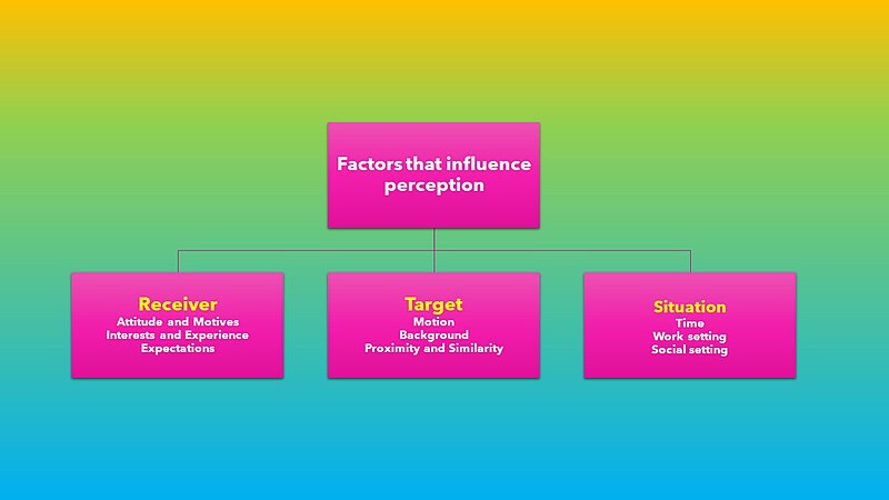 File:Factors that influence perception.jpg