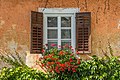 English: Pelargonium at a window Deutsch: Pelargonien am Fenster