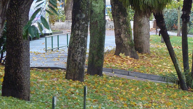 File:Otoño (15243096568).jpg