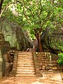Stone stairs at Sigiriya, Sri Lanka.