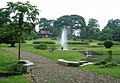 Bogor Botanical Gardens, Bogor (Indonesia)