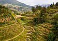 * Nomination Longsheng Rice Terraces. --King of Hearts 03:57, 13 June 2020 (UTC) * Promotion Good quality.--Agnes Monkelbaan 05:34, 13 June 2020 (UTC)